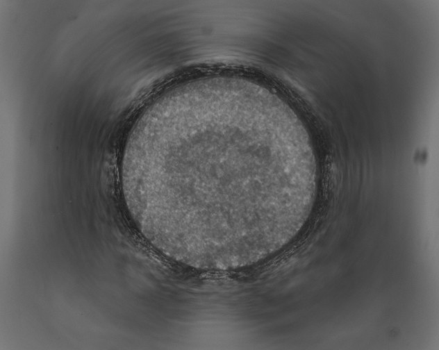 X0000088870918200707061344