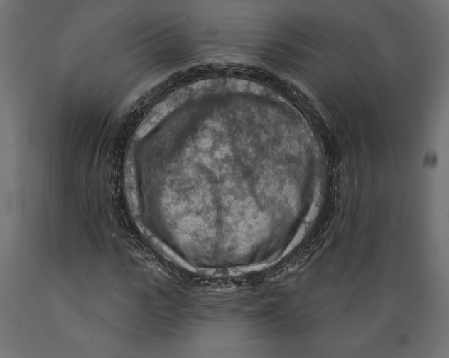 X0000088870919200707061344
