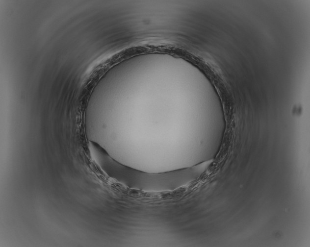 X0000088870920200707061344