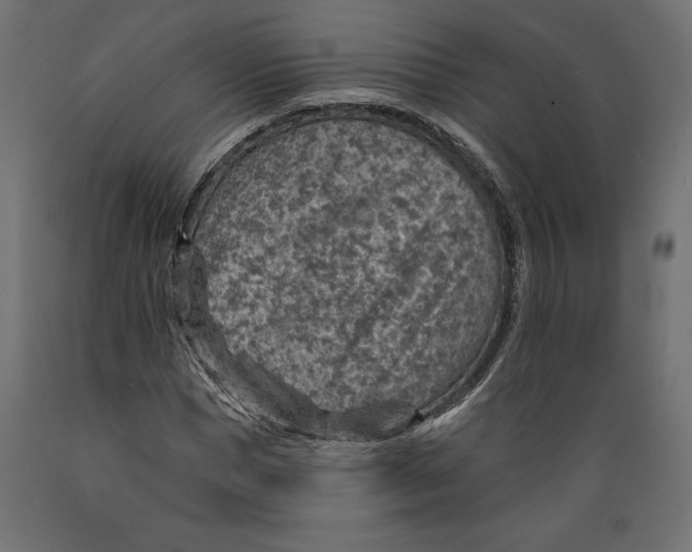 X0000088870921200707061344