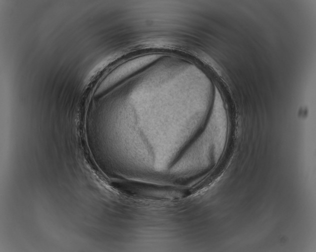 X0000088870922200707061344