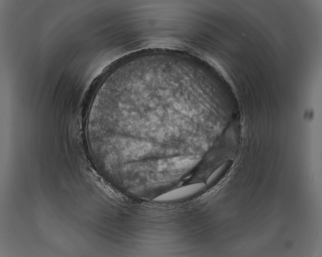 X0000088870923200707061344