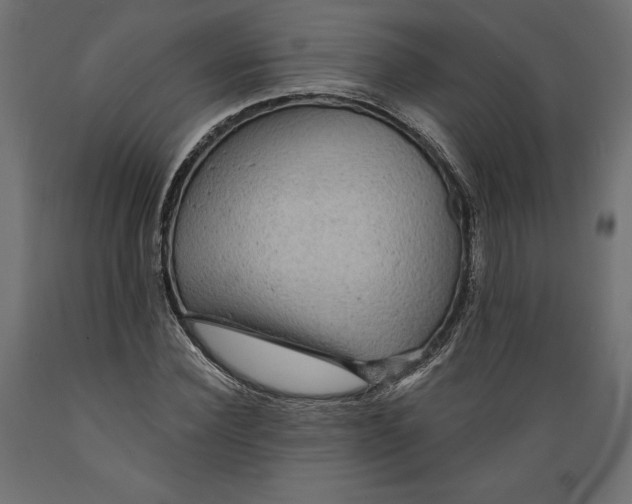 X0000088870924200707061344
