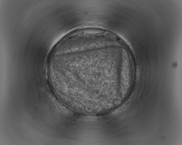 X0000088870925200707061344