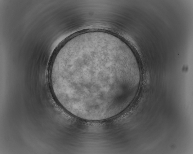 X0000088870928200707061344