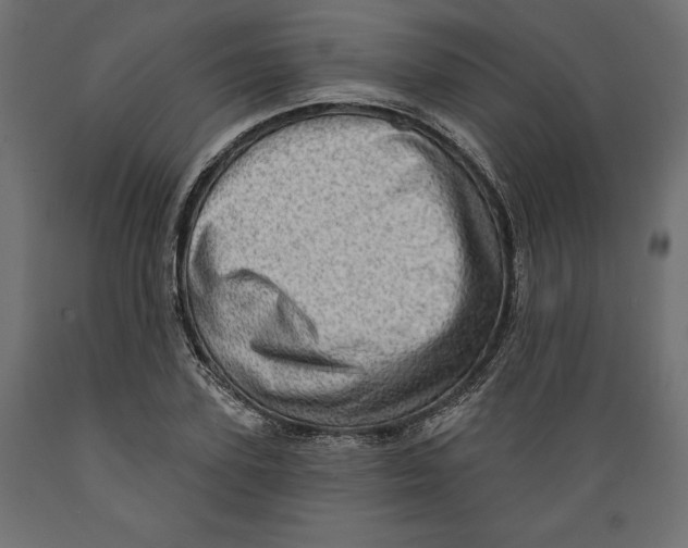 X0000088870931200707061344