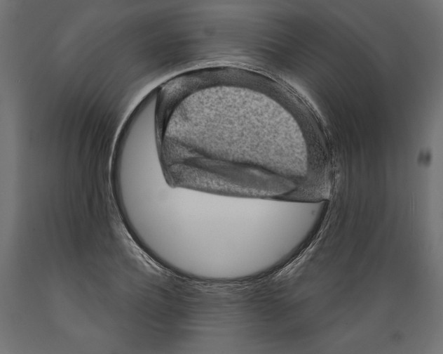 X0000088870932200707061344