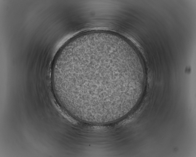 X0000088870933200707061344