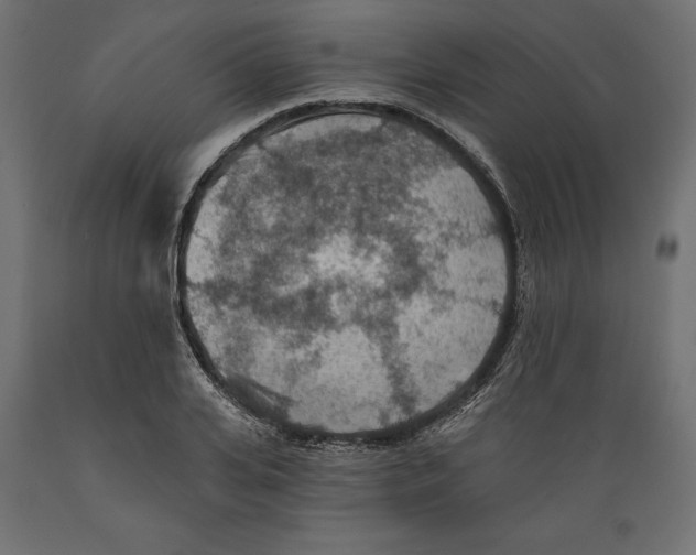 X0000088870935200707061344