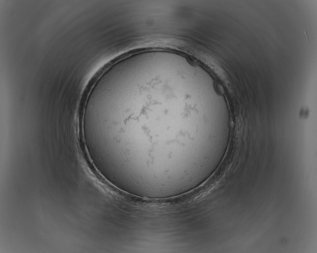 X0000088870936200707061344