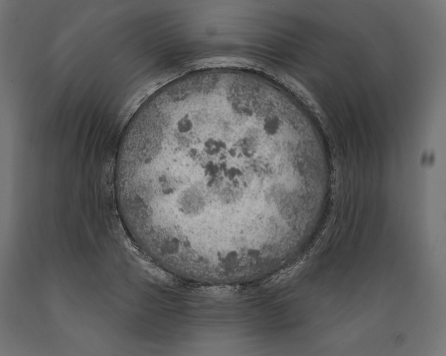 X0000088870937200707061344