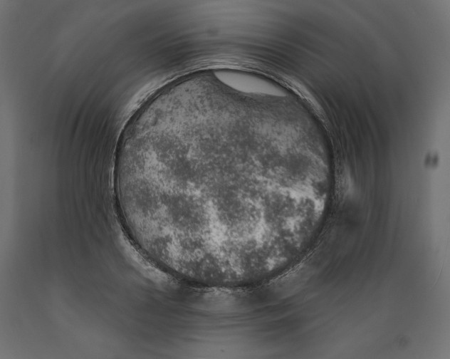 X0000088870938200707061344