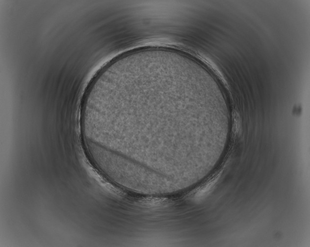 X0000088870939200707061344