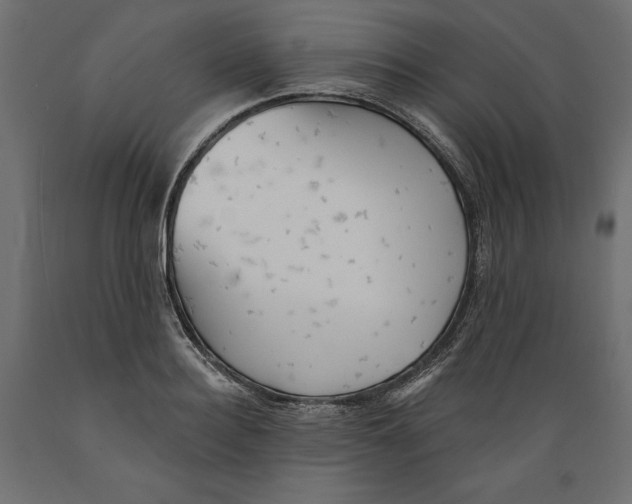 X0000088870940200707061344