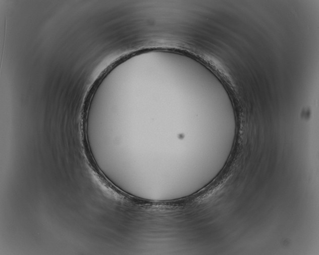X0000088870942200707061344