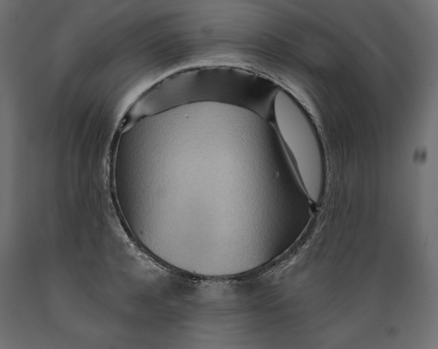 X0000088870944200707061344