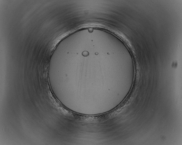 X0000088870945200707061344