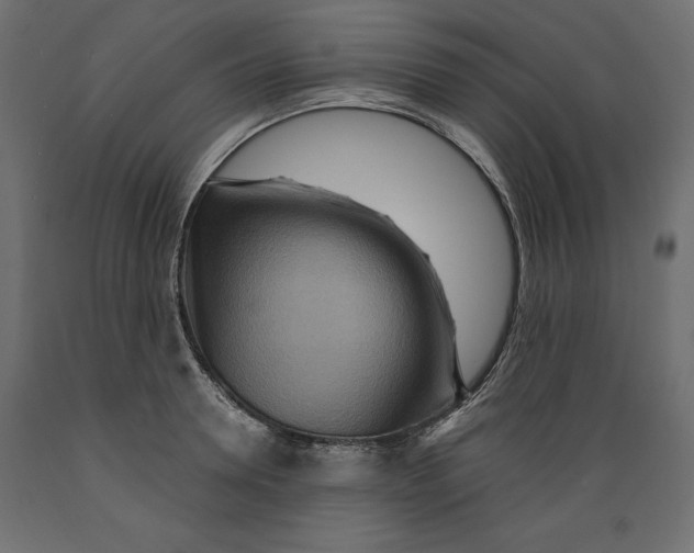 X0000088870946200707061344