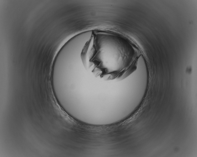 X0000088870948200707061344