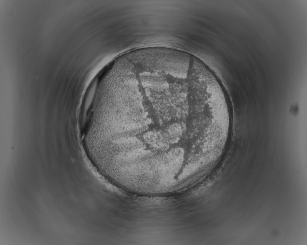 X0000088870949200707061344