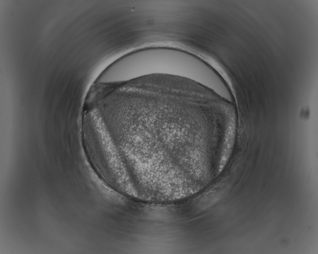X0000088870951200707061344