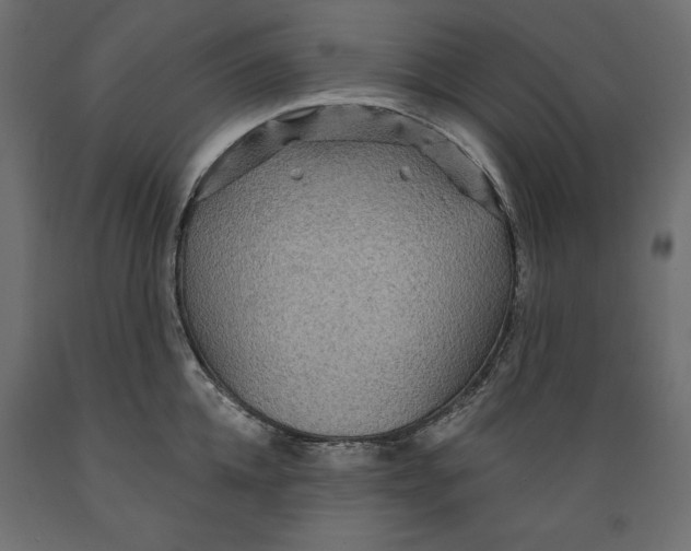 X0000088870952200707061344