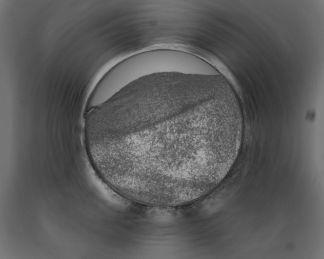 X0000088870955200707061345