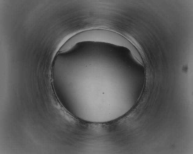 X0000088870956200707061345