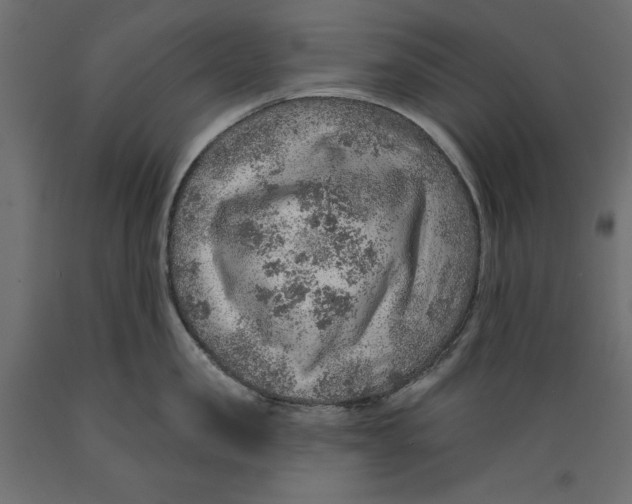 X0000088870957200707061345