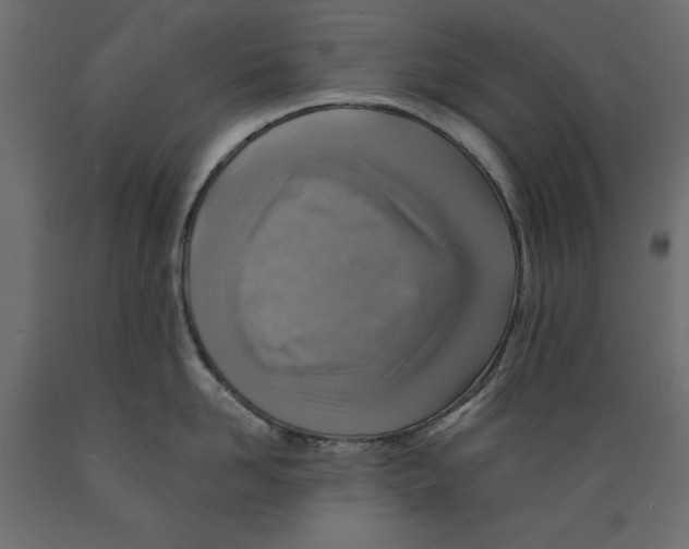 X0000088870958200707061345