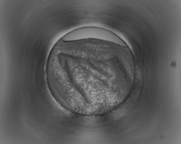 X0000088870959200707061345
