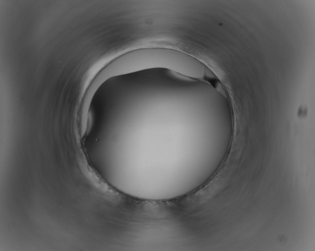 X0000088870960200707061345