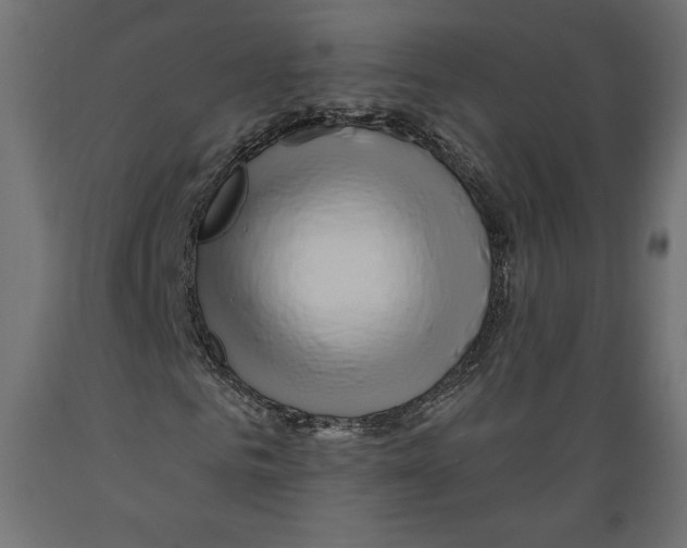 X0000088870961200707061344