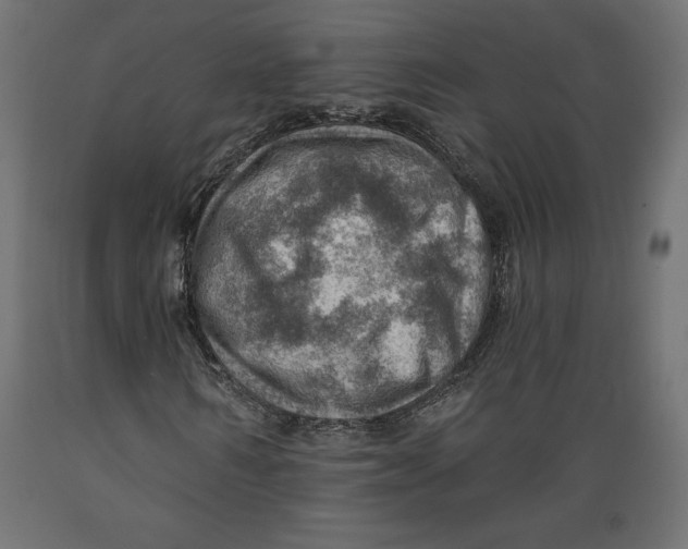 X0000088870962200707061344