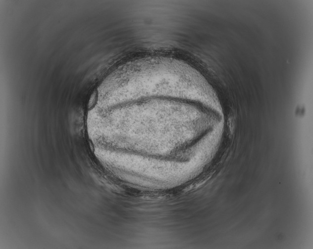 X0000088870963200707061344