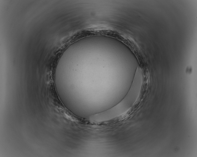X0000088870965200707061344