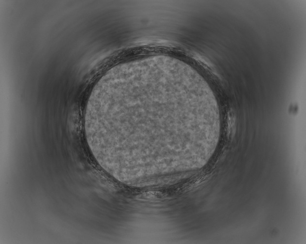 X0000088870966200707061344