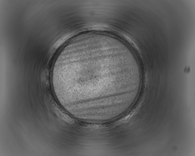 X0000088870970200707061344