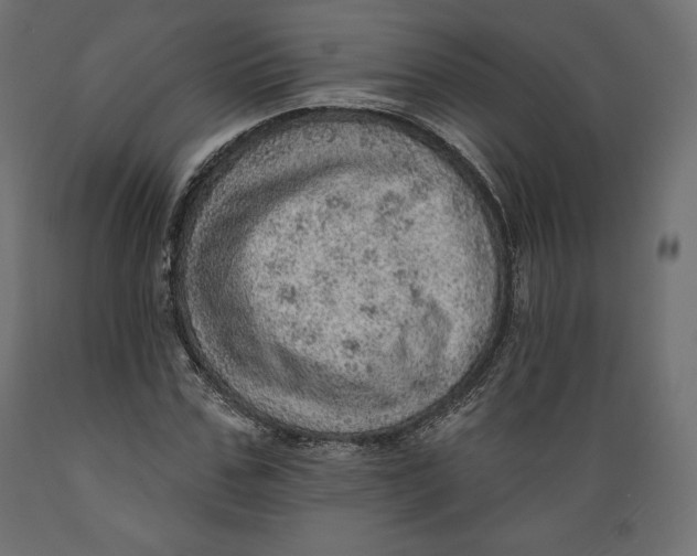X0000088870971200707061344