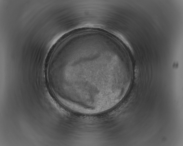 X0000088870972200707061344