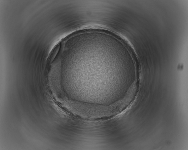 X0000088870973200707061344