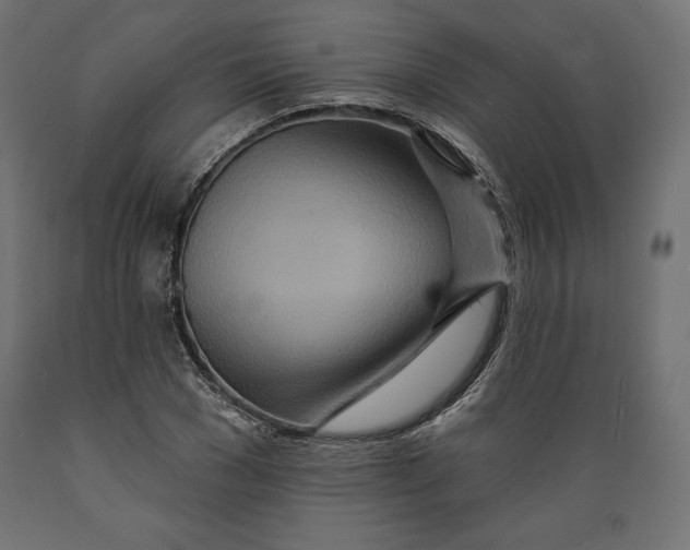 X0000088870977200707061344
