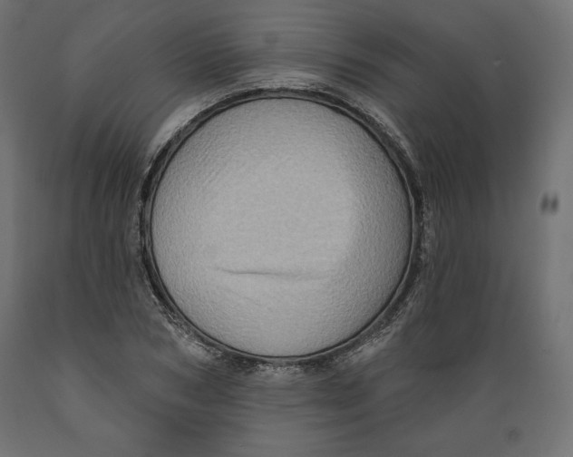 X0000088870978200707061344