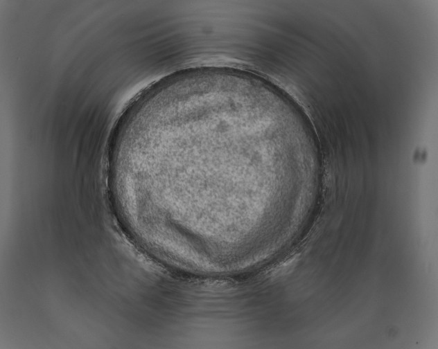 X0000088870979200707061344