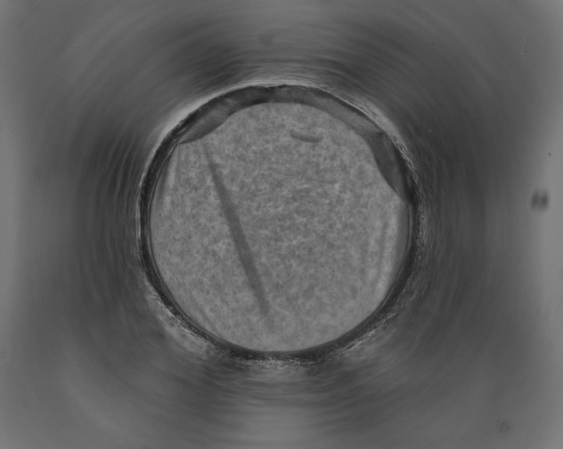 X0000088870980200707061344