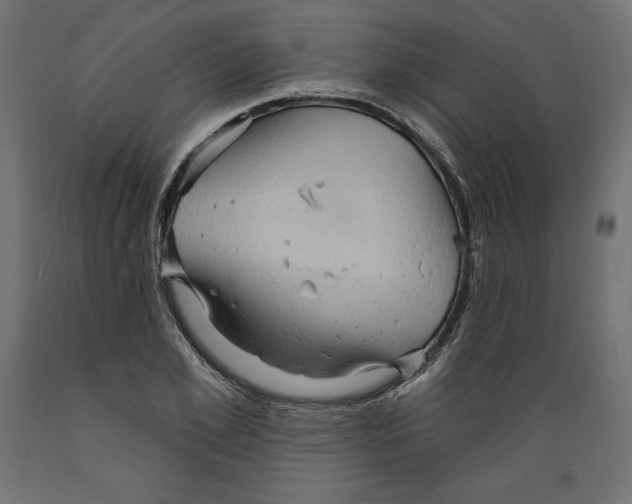 X0000088870981200707061344
