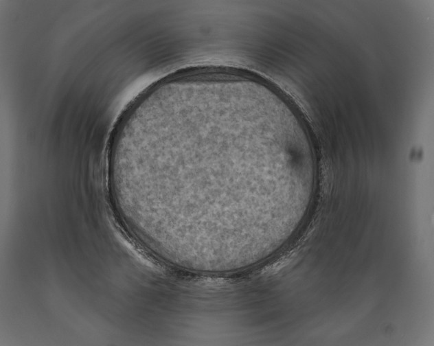 X0000088870982200707061344