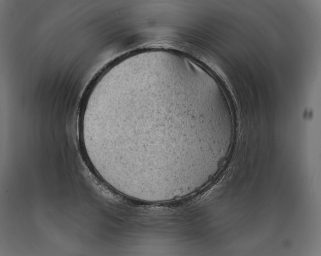 X0000088870984200707061344