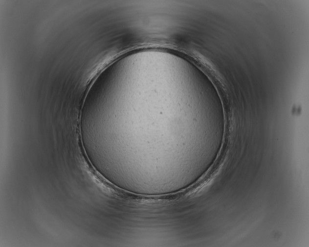 X0000088870985200707061344