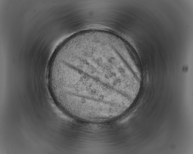 X0000088870987200707061344